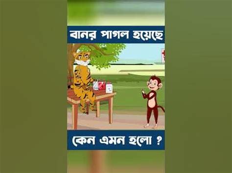  পাগল বানর স্লট